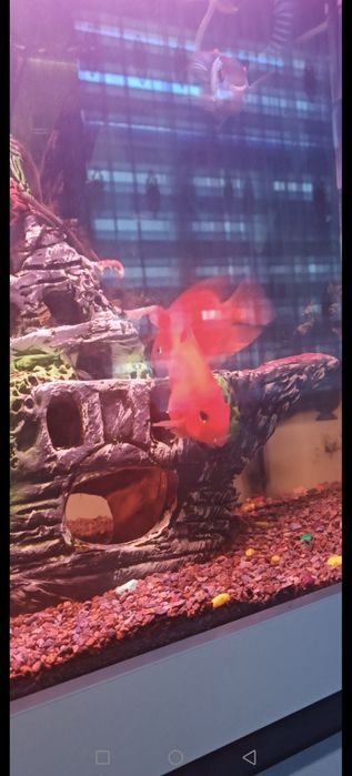 Валик сотилади жами 11 та