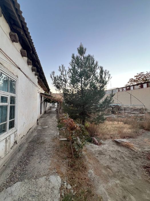 Hovli sotiladi 14 sotixli