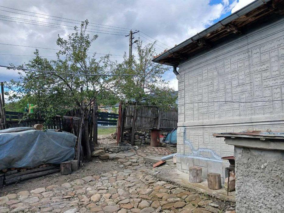 Proprietate autentică situată în sat Trestia, jud. Buzău