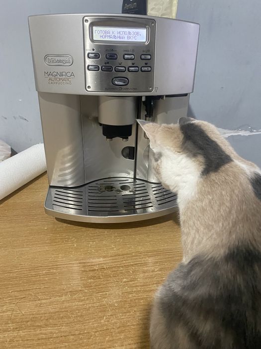 Кофемашина Delonghi Magnifica Automatic