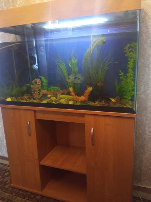 Продам Аквариум.