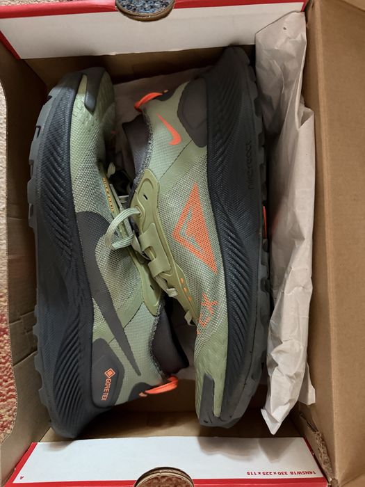 Nike Pegasus Trail Gore-tex