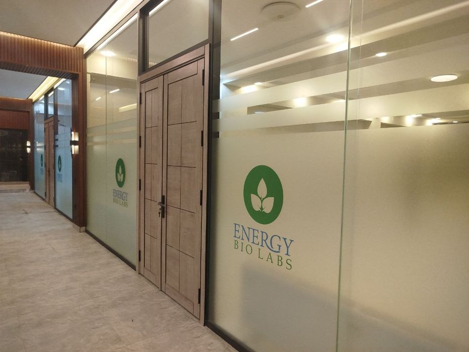 Матовая пленка Matovaya plenka plyonka oynaga