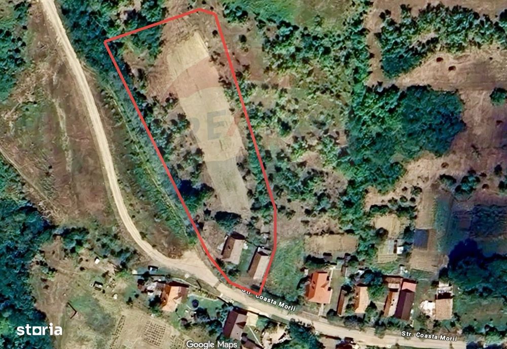 Teren Intravilan 4900mp Dabaca - Cluj - Proiect Turism Rural