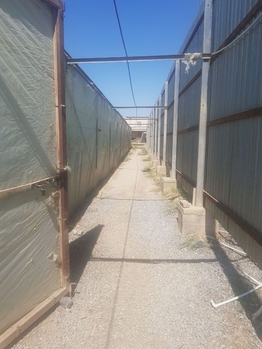 Теплица в Сирдарё