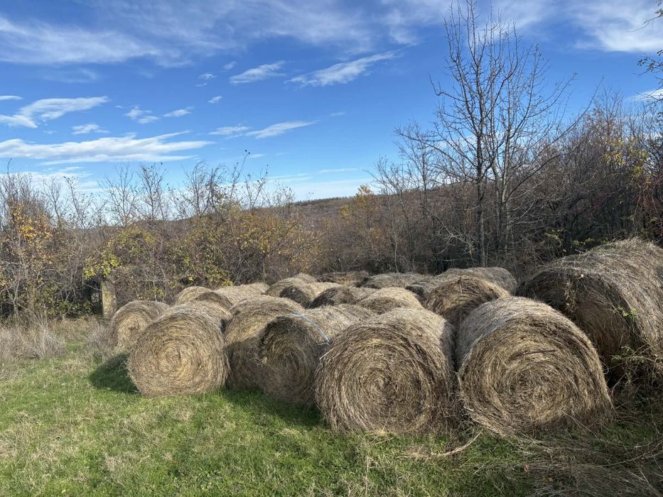 Ролни бали слама ,сено