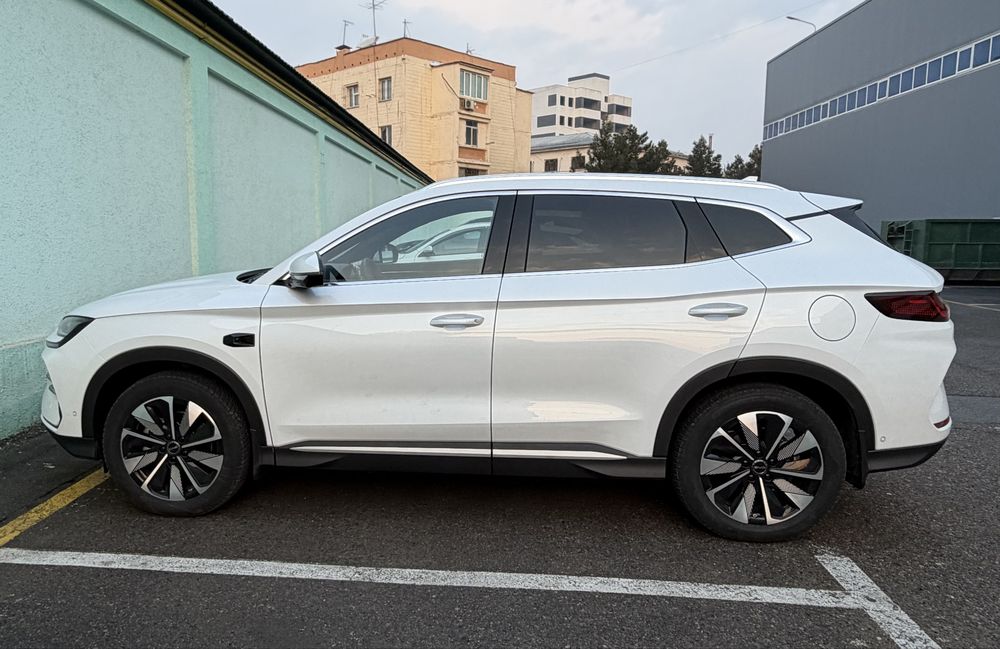 BYD chempion champion Smart 2025