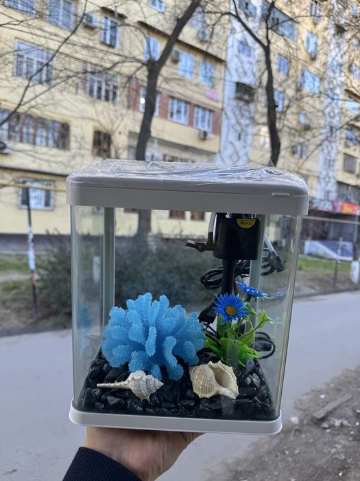 Akvarium Mini hamma narsasi tayyor akvarium