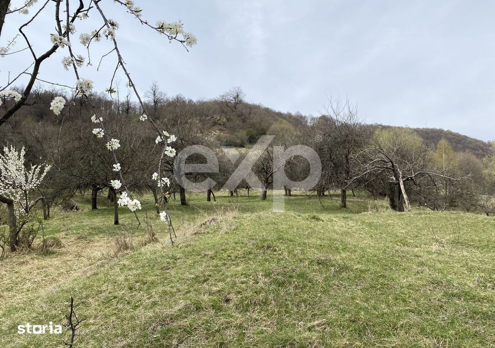 Oportunitate investitie in Corbi, Arges | 22.000 mp teren in zona de