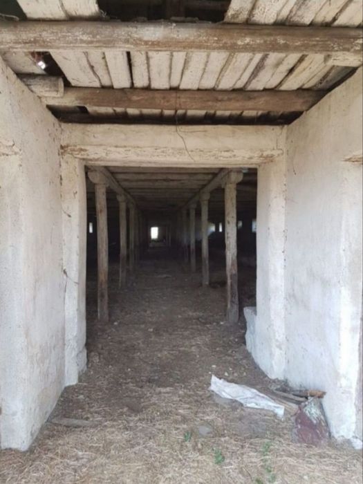 Grajd/Hală Banpotoc lângă Grădinile lui Zoe 53000euro