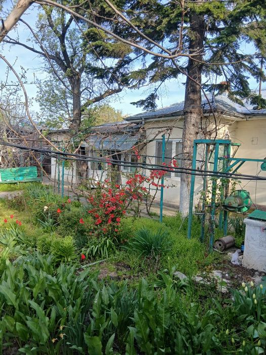 Vand casa in Turnu Magurele