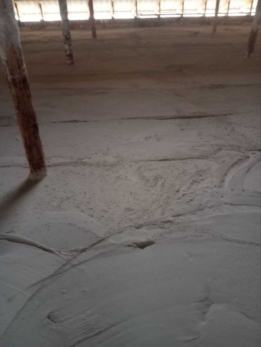 Том устига Ломбоз хизмати