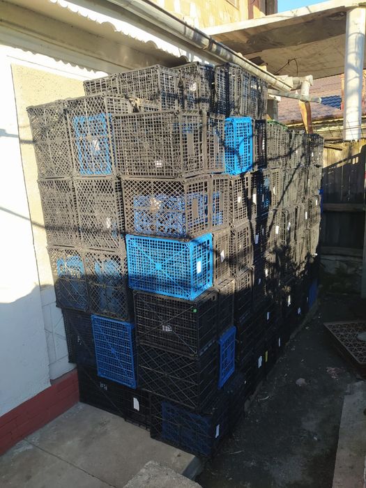 Vând lădițe de plastic si baxuri de banane