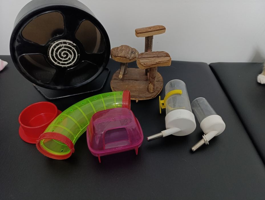 вещи для хомяка и контейнеры для улиток