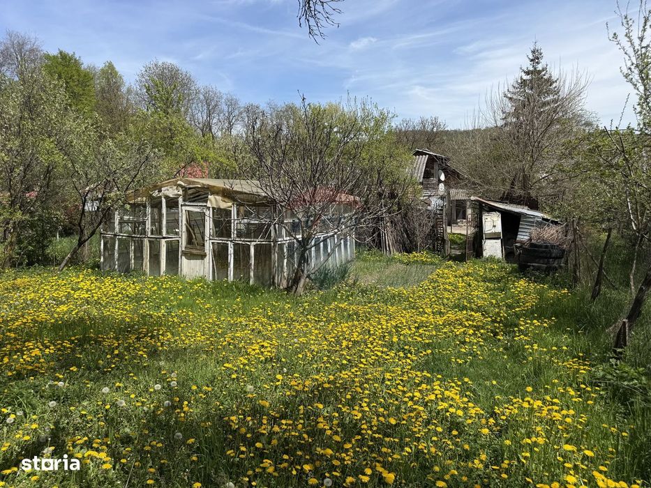 Casă  de vânzare în zona Câmpulung înconjurată de natura