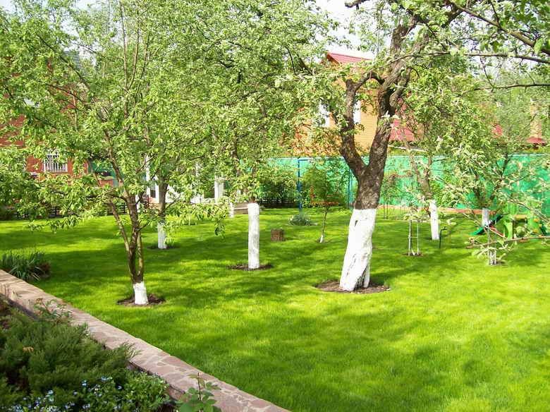 Богбон, Садовник обрезка деревьев, барча турдаги дарахтлага щакл бериш