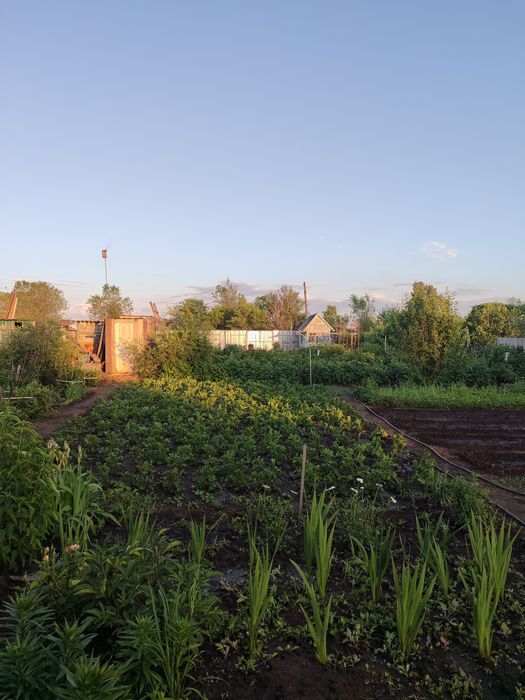 Продам дачу в СО Пригородное  .5соток