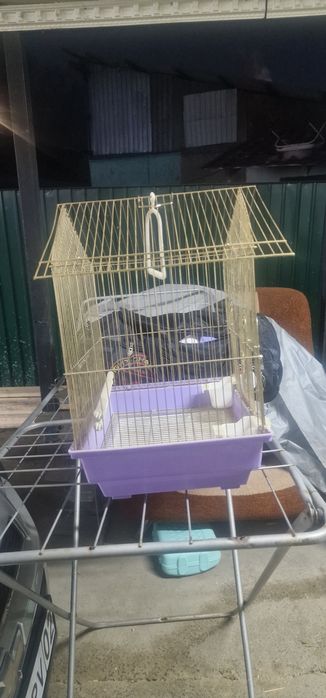 Клетка для попугая и канарейки