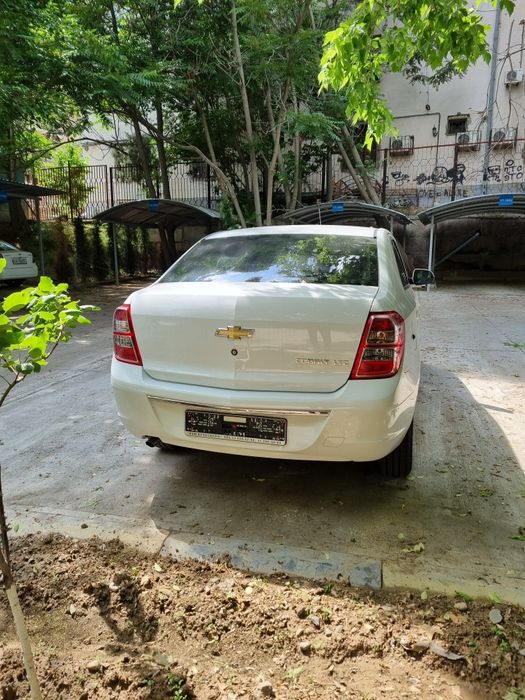 Cobalt 2026 style mcm bez probeg