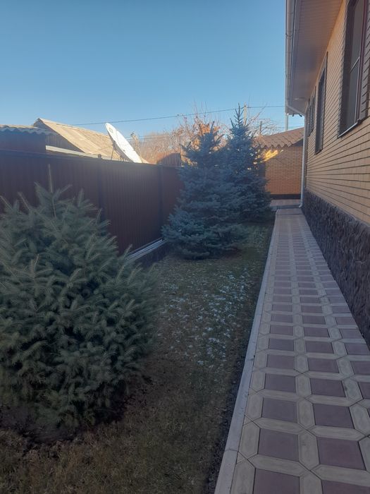 Обрезка плодовых деревьев