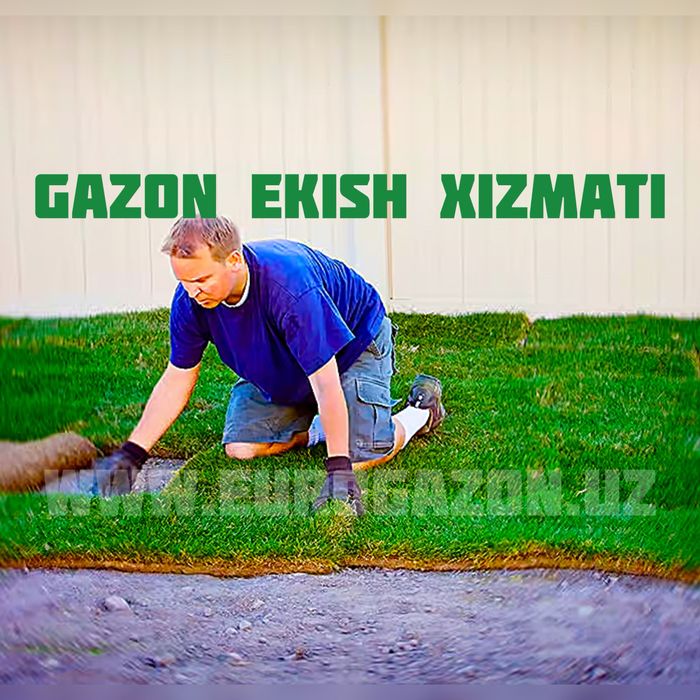 Укладка газона | tabiy gazon o’rnatamiz | Gazon ekish