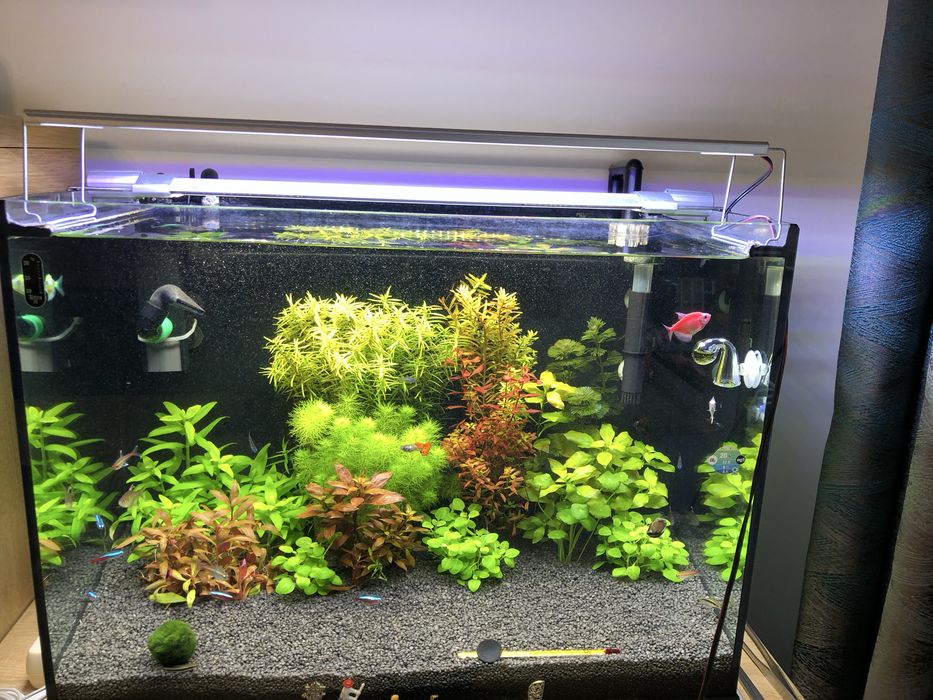 Lampa acvariu folosita ..