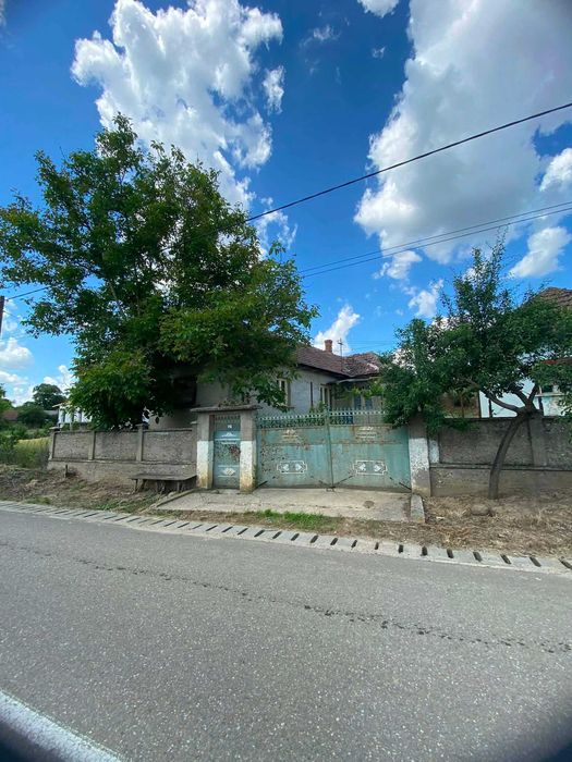 Casă de vânzare Burzuc