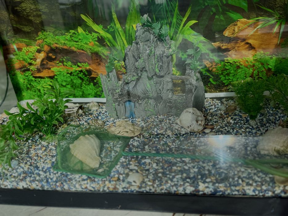 Acvariu  pesti complet 100 litri