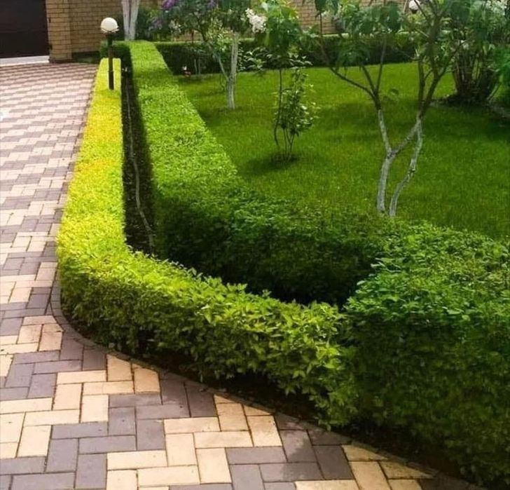 _Все услуги САДОВНИКА._ 1