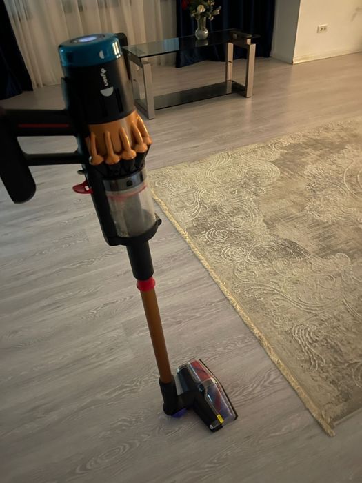 Dyson v16 animal