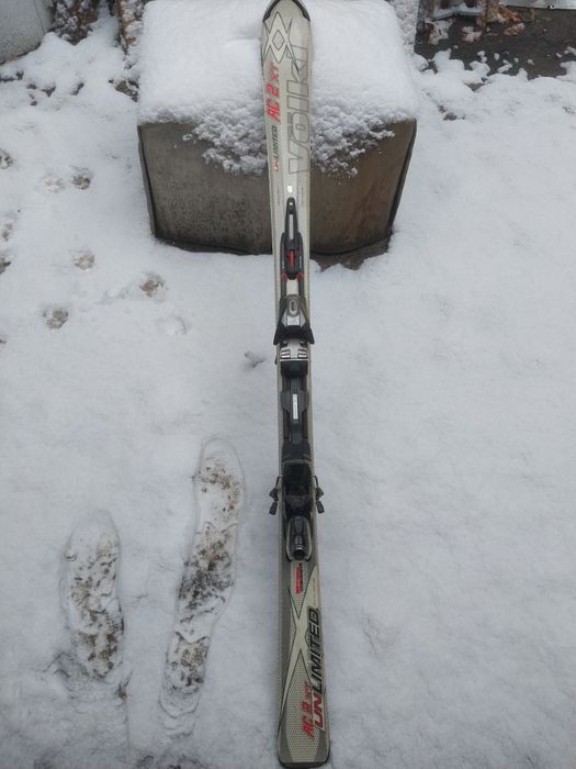 Лыжи горные продам.