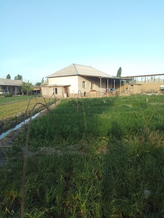 Уй сотилади дехкончилик ва чорва учун зор жой таййор бизнес