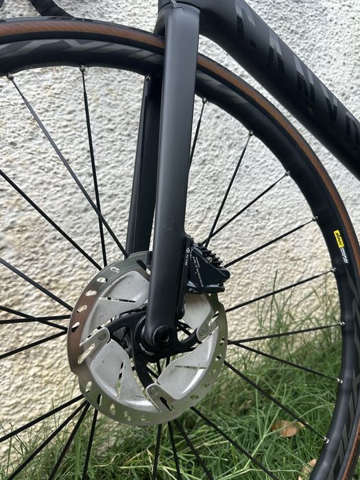 Cursiera Canyon Endurace Cf Sl Large