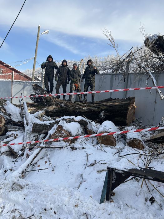 Спил деревьев обрезка деревьев