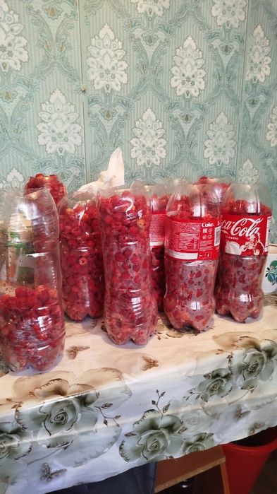 Продам дачу Жезказган