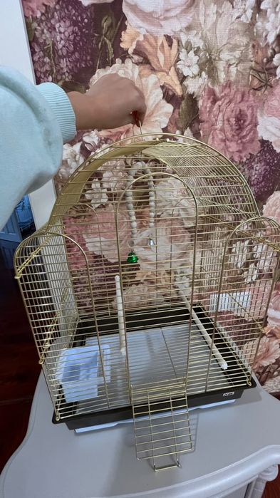 Продам клетку для птиц
