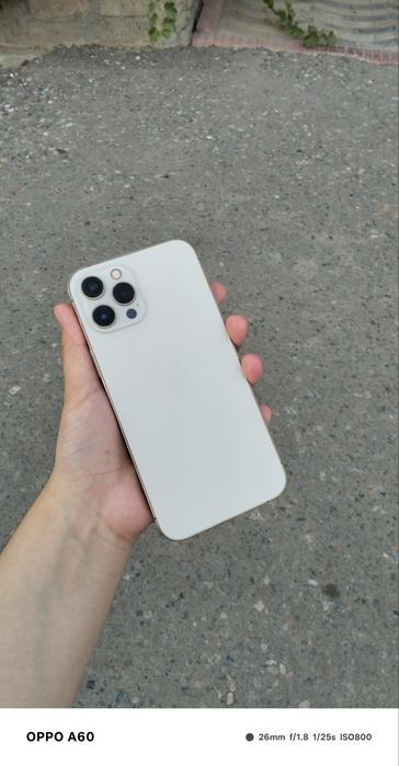 Iphone12 pro max