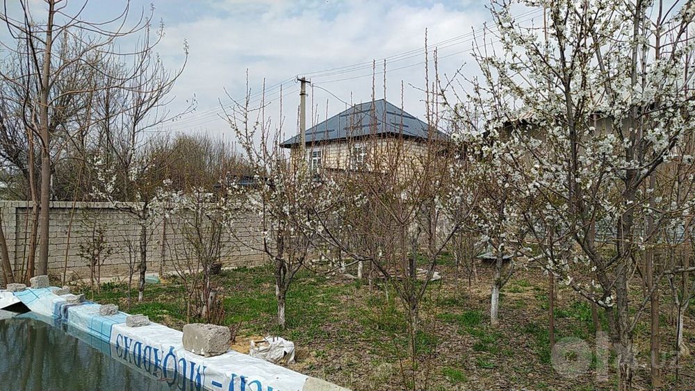 Дом Паркент 7 соток