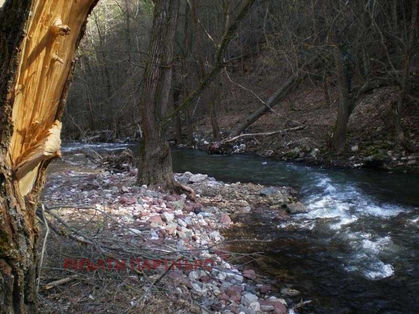 Продава се Парцел в Трън - 2101 кв.м за 9 €/кв.м - Снимка #6