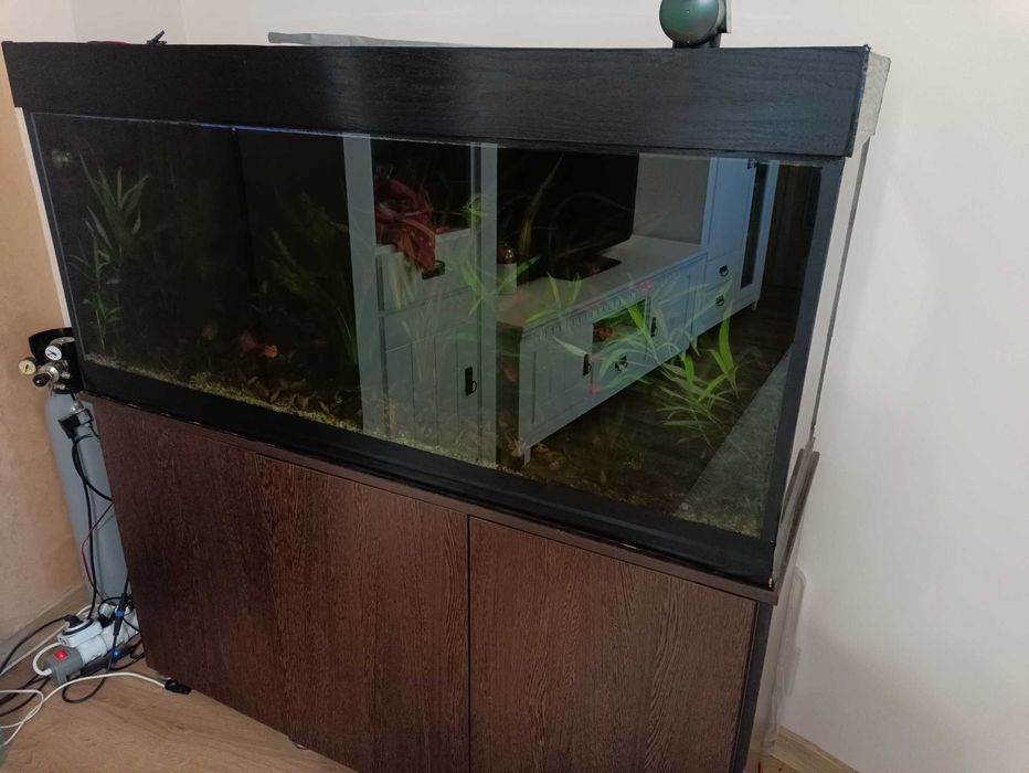 Acvariu 270 litri
