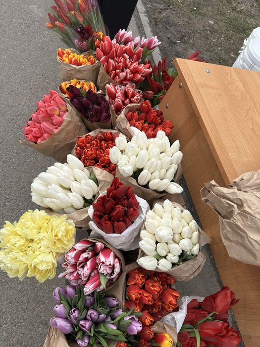 Тюльпаны 350тг !!!