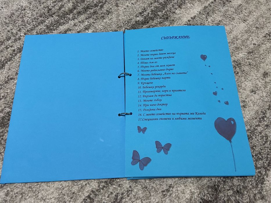 Бебешки дневник А4