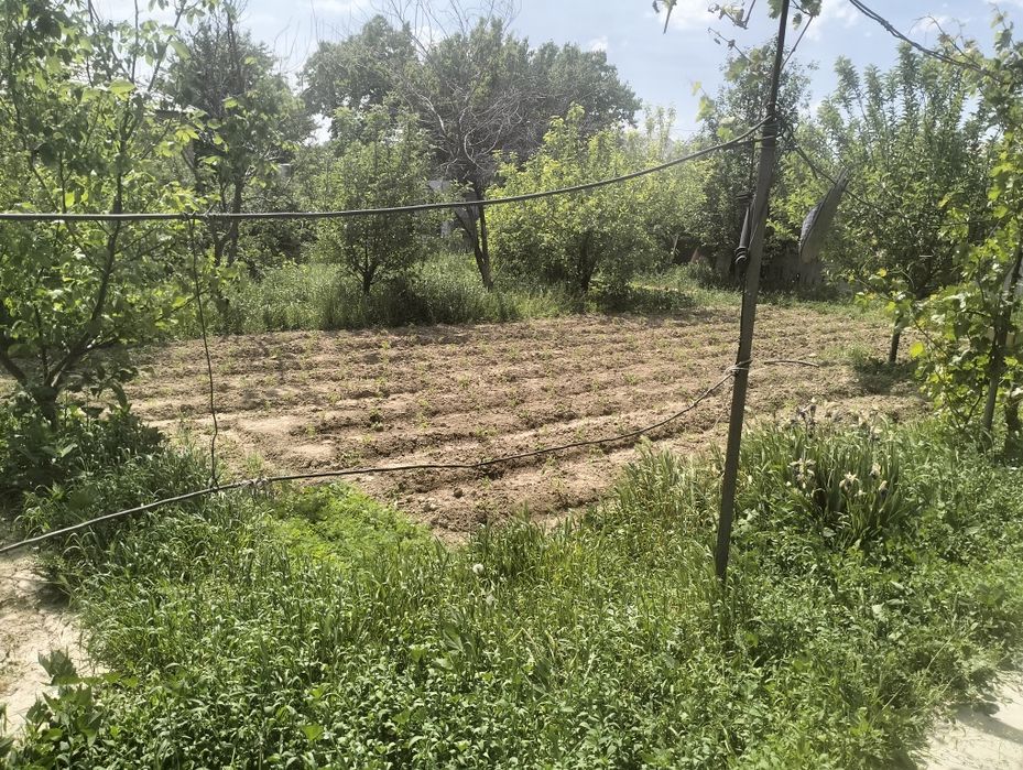 Дом на Шубарсу 12 соток