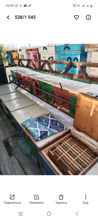 Асалари кутиларисотилади. Продаются Пчелиные яшики Пчелиные яшики