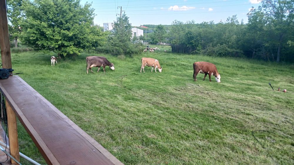 Продава се Парцел в Приморско - 1106 кв.м за 92 €/кв.м - Снимка #10