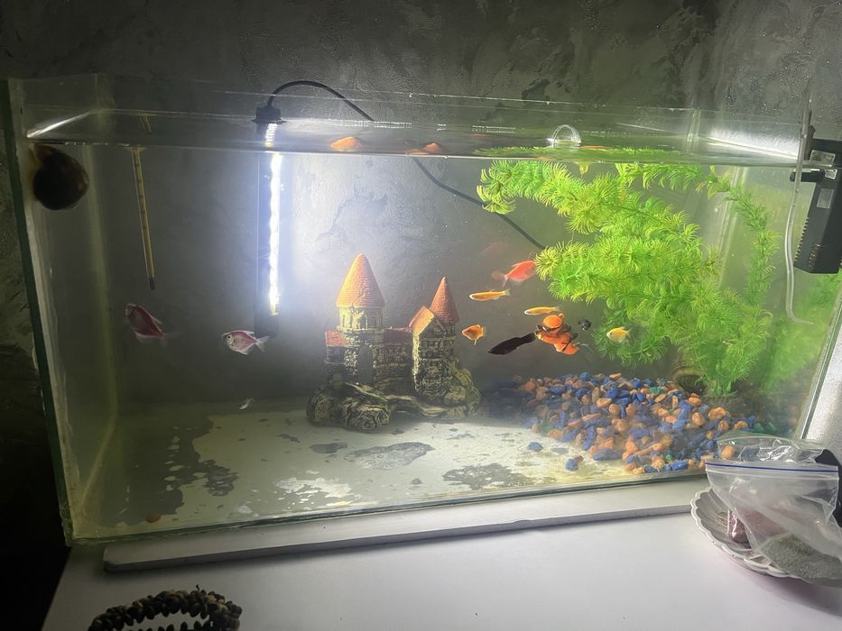 Аквариум 35-40 л
