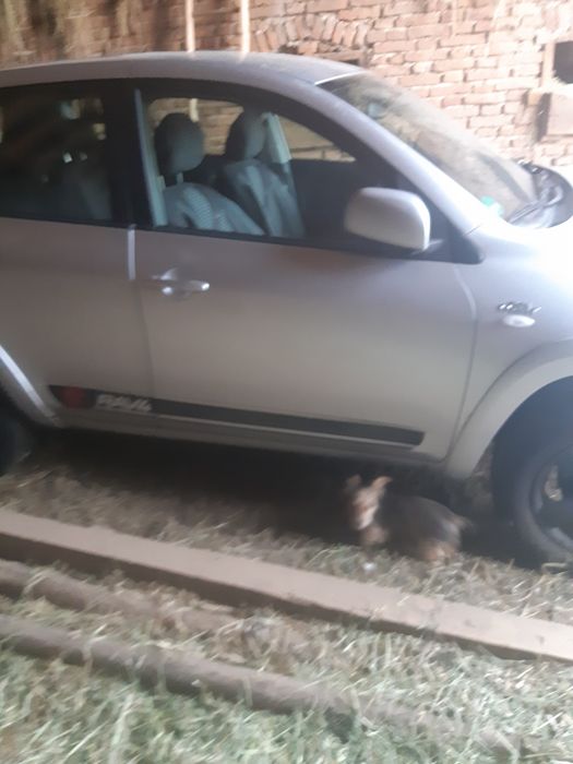 TOYOTA RAV4 2005 — imagine 4