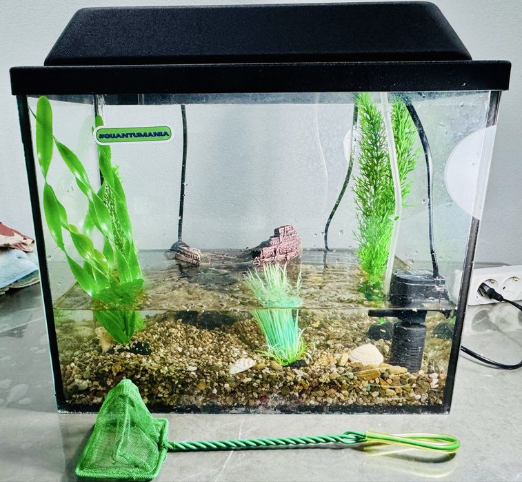Аквариум 38х31х21 для рыб