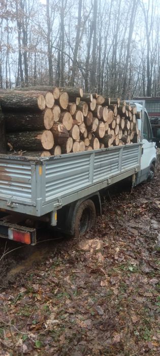 Lemn de foc Stejar uscat