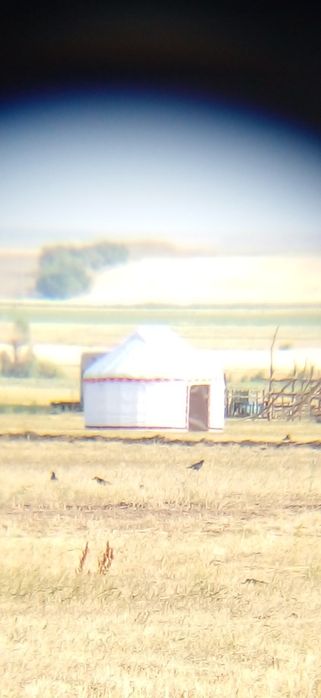 Киіз үй,Юрта.Қазақ үй